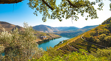 Le vin portugais, le meilleur du monde ?!