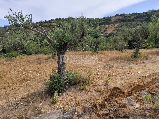 Exceptional Plot In São Brás De Alportel