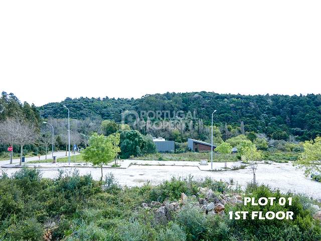 Potenziale incontaminato: una terra di possibilità a Sintra