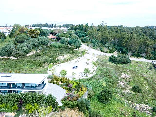 Untouched Potential: A Land Of Possibilities In Sintra