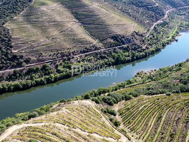 Un gioiello sul fiume - Vigneto nella valle del Douro