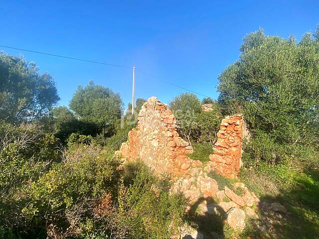 Charming Piece of Land with Ruína in Santa Margarida, Tavira